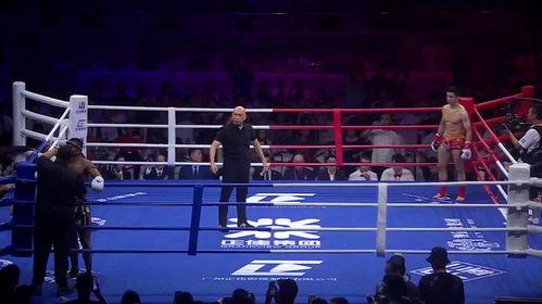 拳王猛虎在线观看,激战巅峰,热血沸腾的在线对决 第3张 拳王猛虎在线观看,激战巅峰,热血沸腾的在线对决 第3张